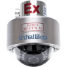Int-exdc10a-01 взрывозащищенная видеокамера intelliko